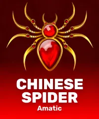 Chinese Spider